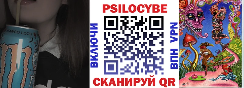 MEGA ссылки  Усть-Джегута  Галлюциногенные грибы Psilocybe 