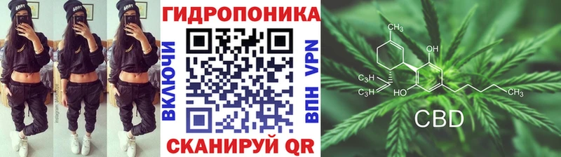 Бошки Шишки ГИДРОПОН  Усть-Джегута 
